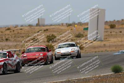 media/May-03-2025-Lucky Dog Racing (Sat) [[206de64b9d]]/Turn 6 (150pm-230pm)/